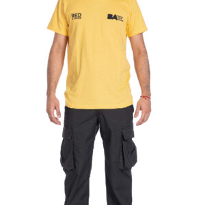 Remera Work